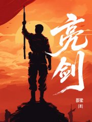 亮剑(出版)