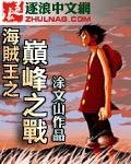 海贼王之巅峰之战