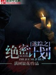 迷踪之绝密计划