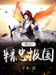 风云：精忠报国