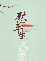 慰平生