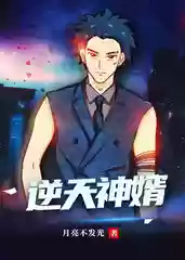 逆天神婿