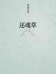 还魂草
