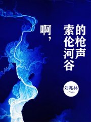 啊，索伦河谷的枪声