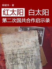红太阳白太阳：第二次国共合作启示录