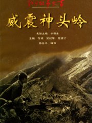 战斗故事丛书威震神头岭