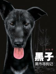 黑子——黑市寻狗记