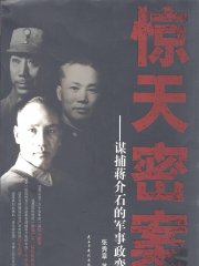 惊天密案