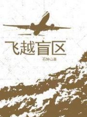飞越盲区