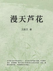 漫天芦花