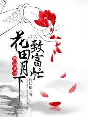 药田喜事：花田月下致富忙