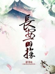 长安丽探