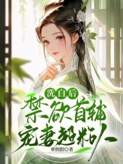 洗白后,禁欲首辅宠妻超粘人