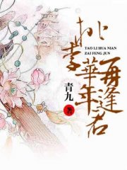 桃李华年再逢君