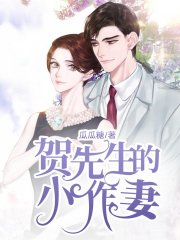 贺先生的小作妻