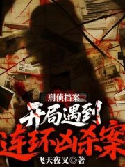 刑侦重案组：从一号大案开始